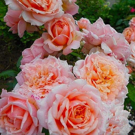 Фото 2