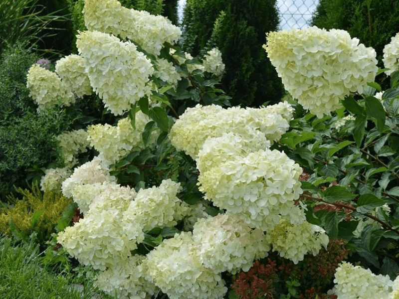 Фото 2