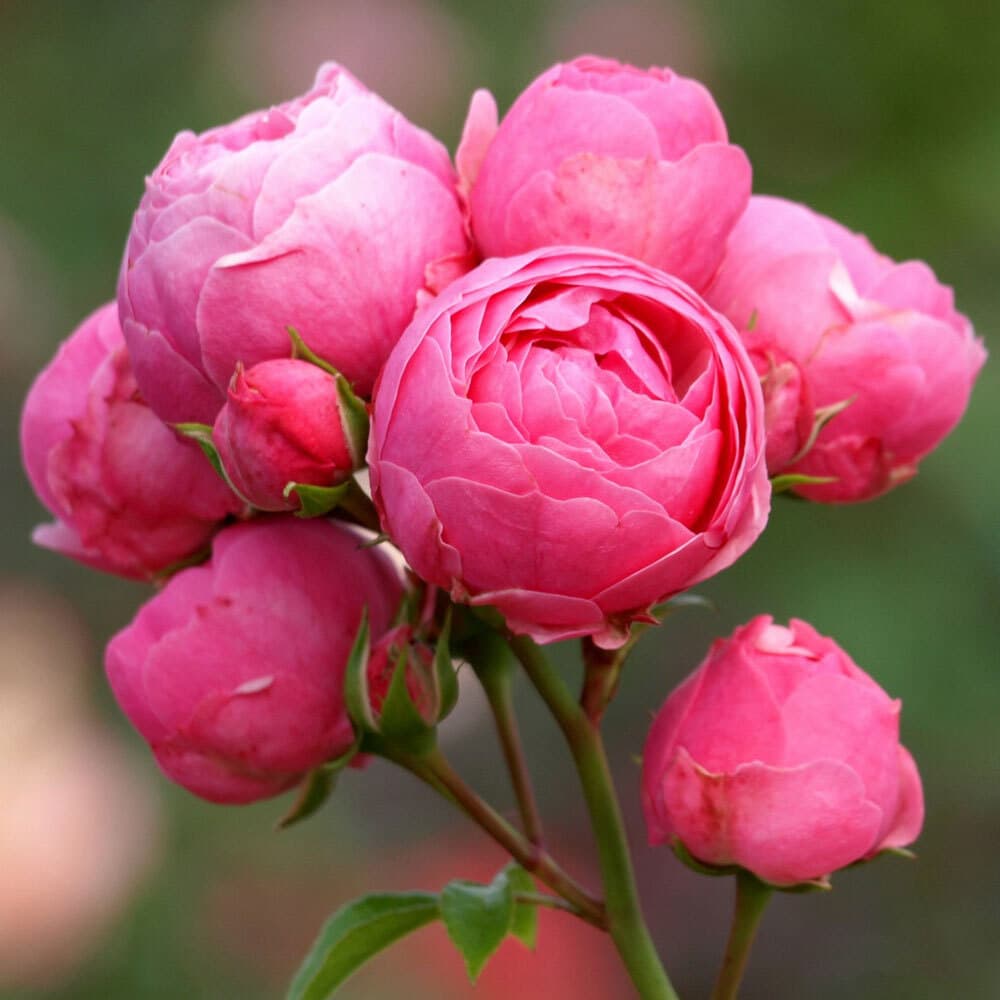 Фото 3