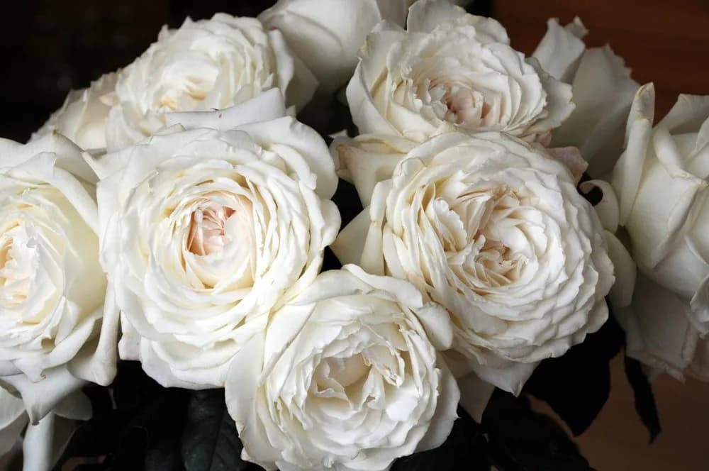 Фото 2