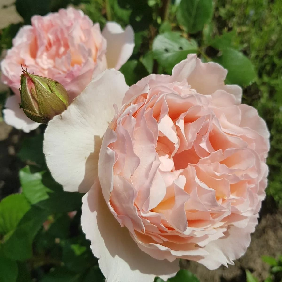 Фото 3