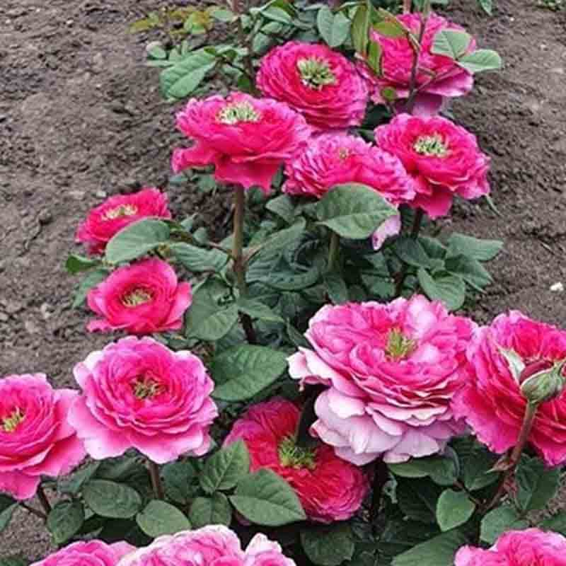 Фото 2