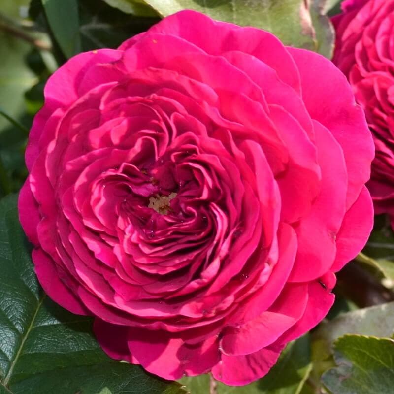 Фото 3
