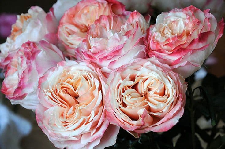 Фото 2