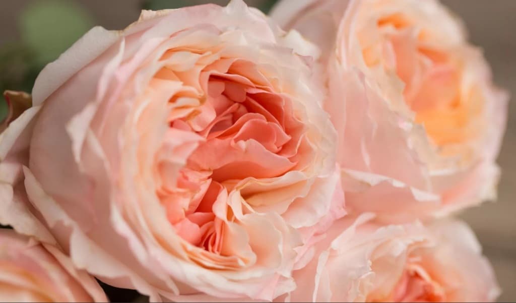 Фото 3