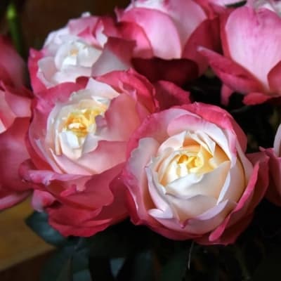 Фото 2