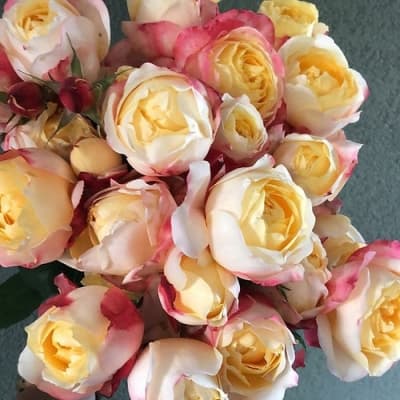 Фото 3