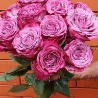 Фото 2