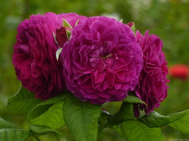 Фото 2