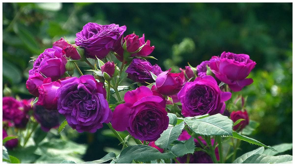 Фото 5
