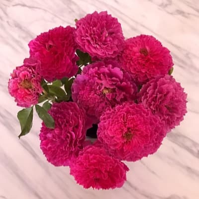 Фото 2