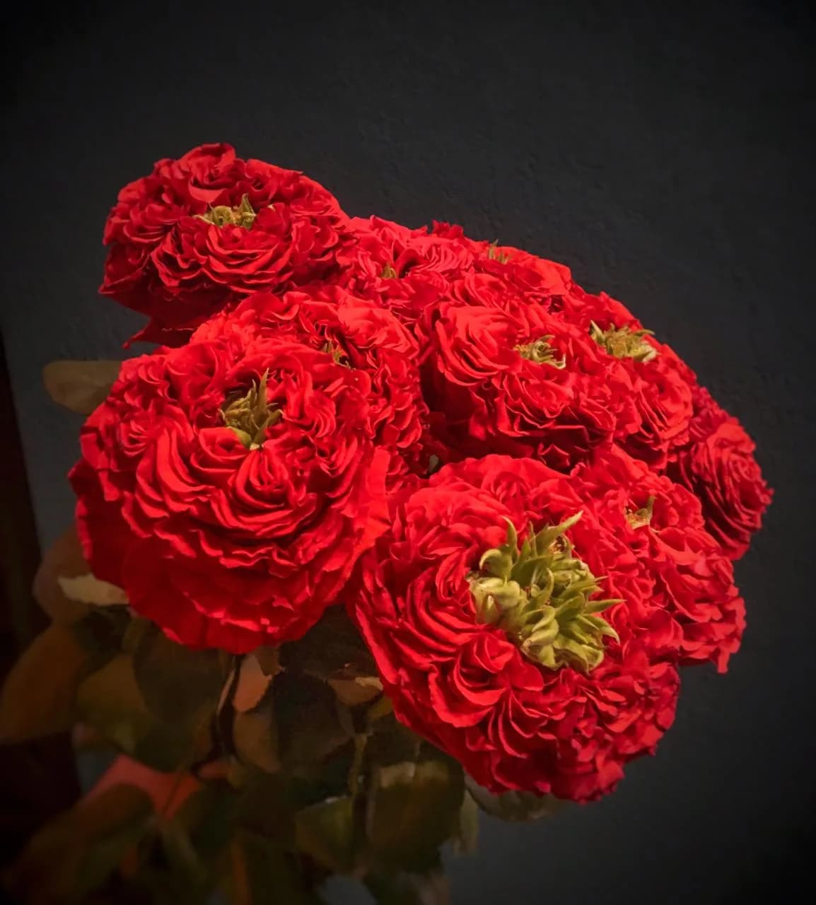 Фото 2