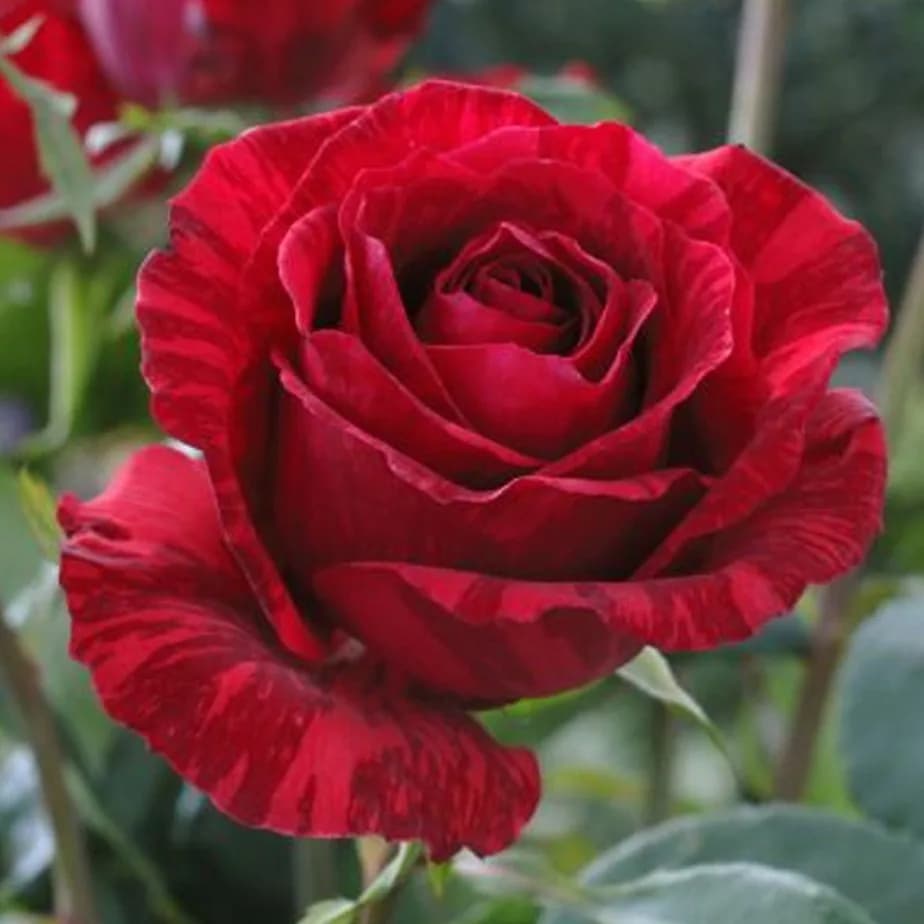 Фото 2
