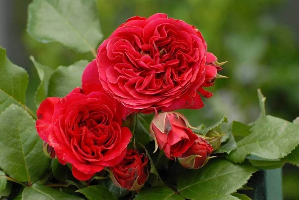 Фото 2