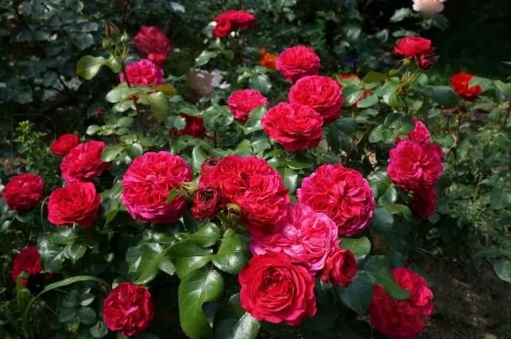 Фото 3