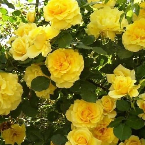 Фото 3