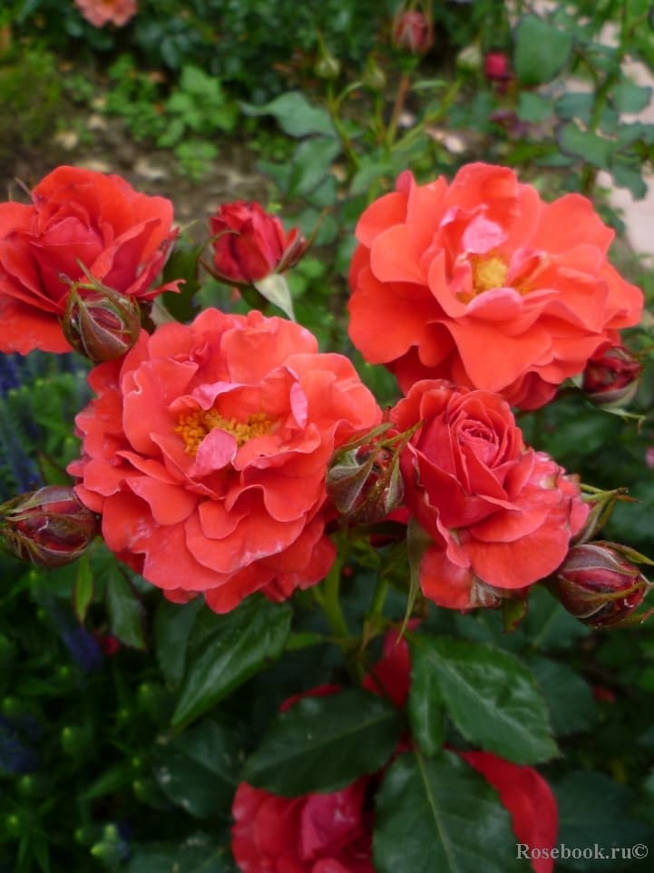 Фото 2