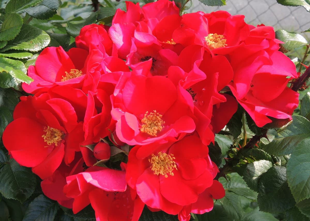 Фото 2