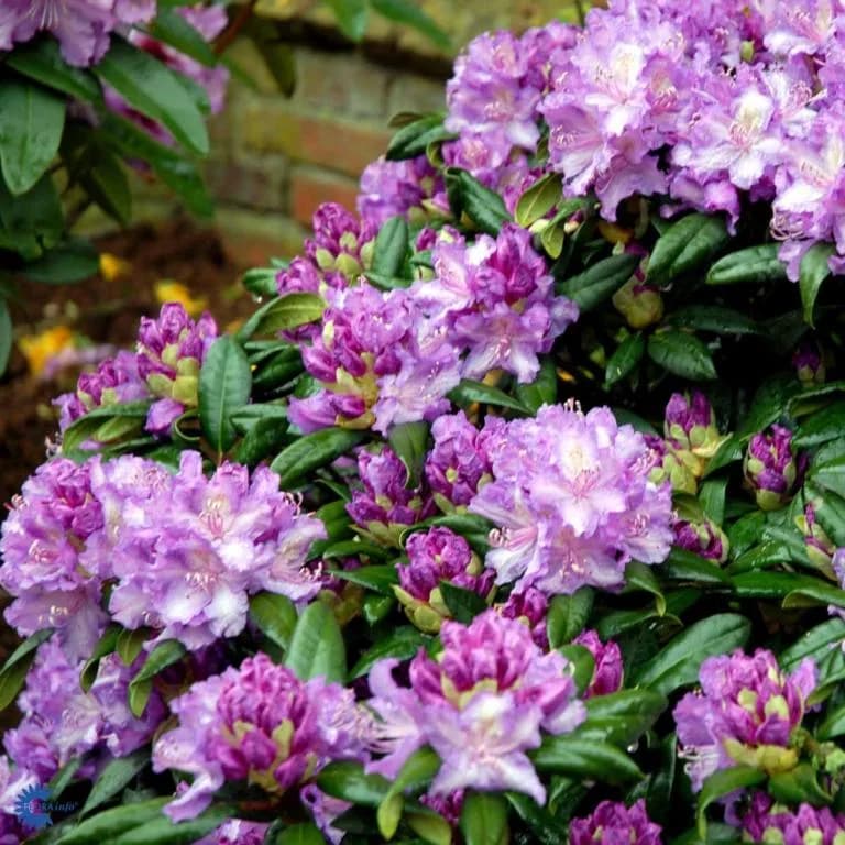 Фото 2