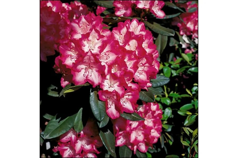 Фото 2