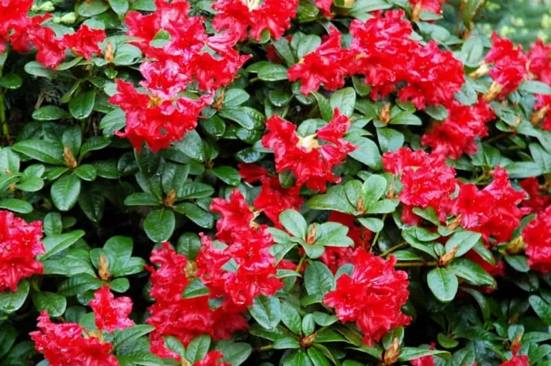 Фото 2