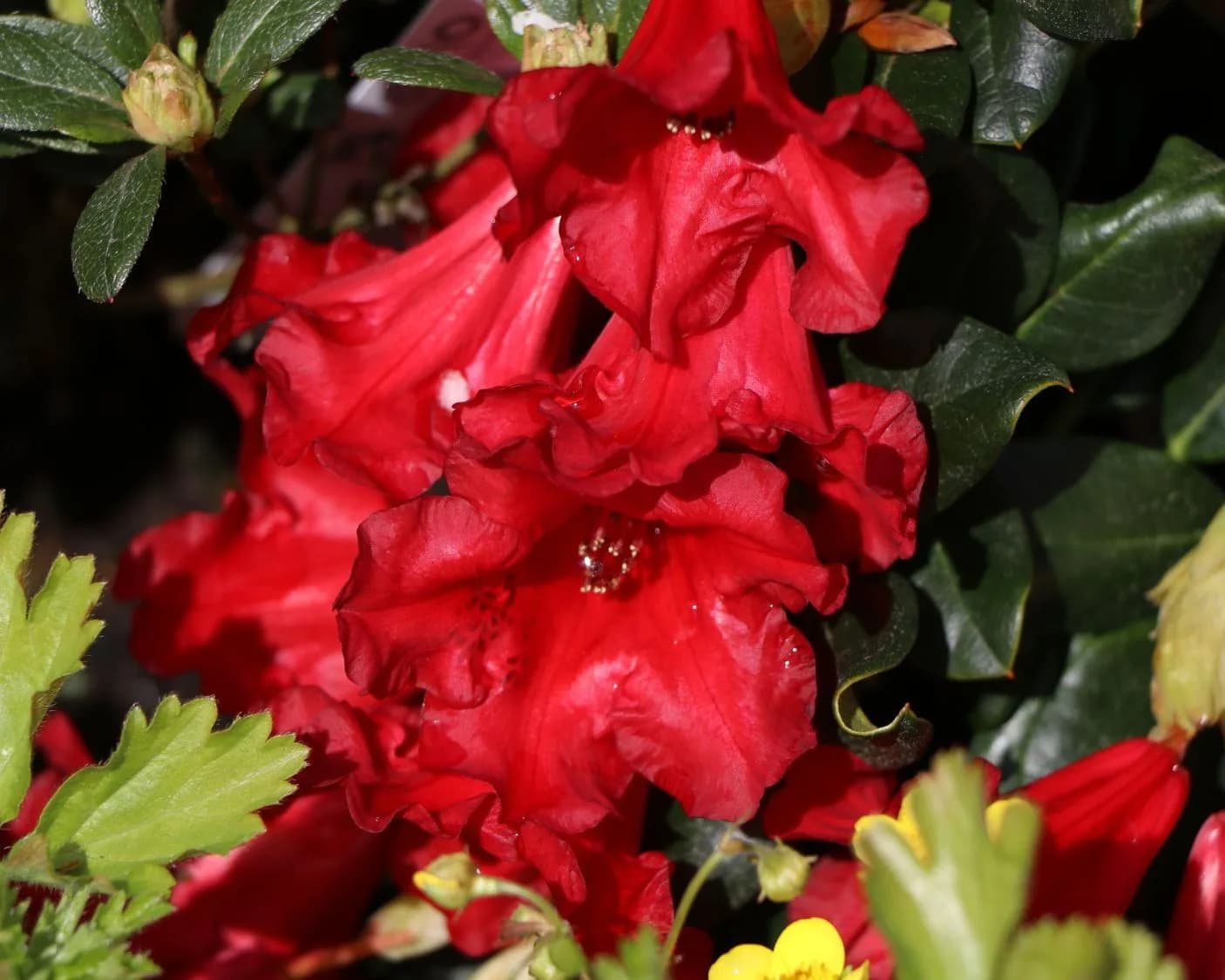 Фото 3