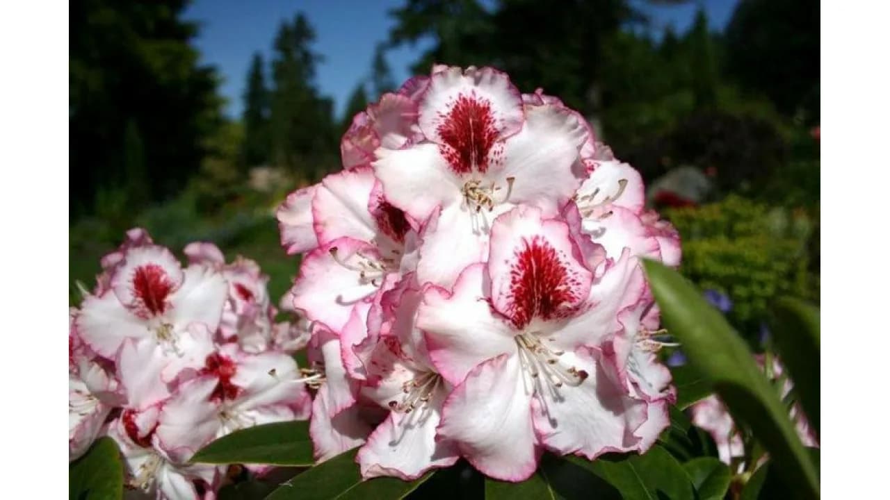 Фото 2