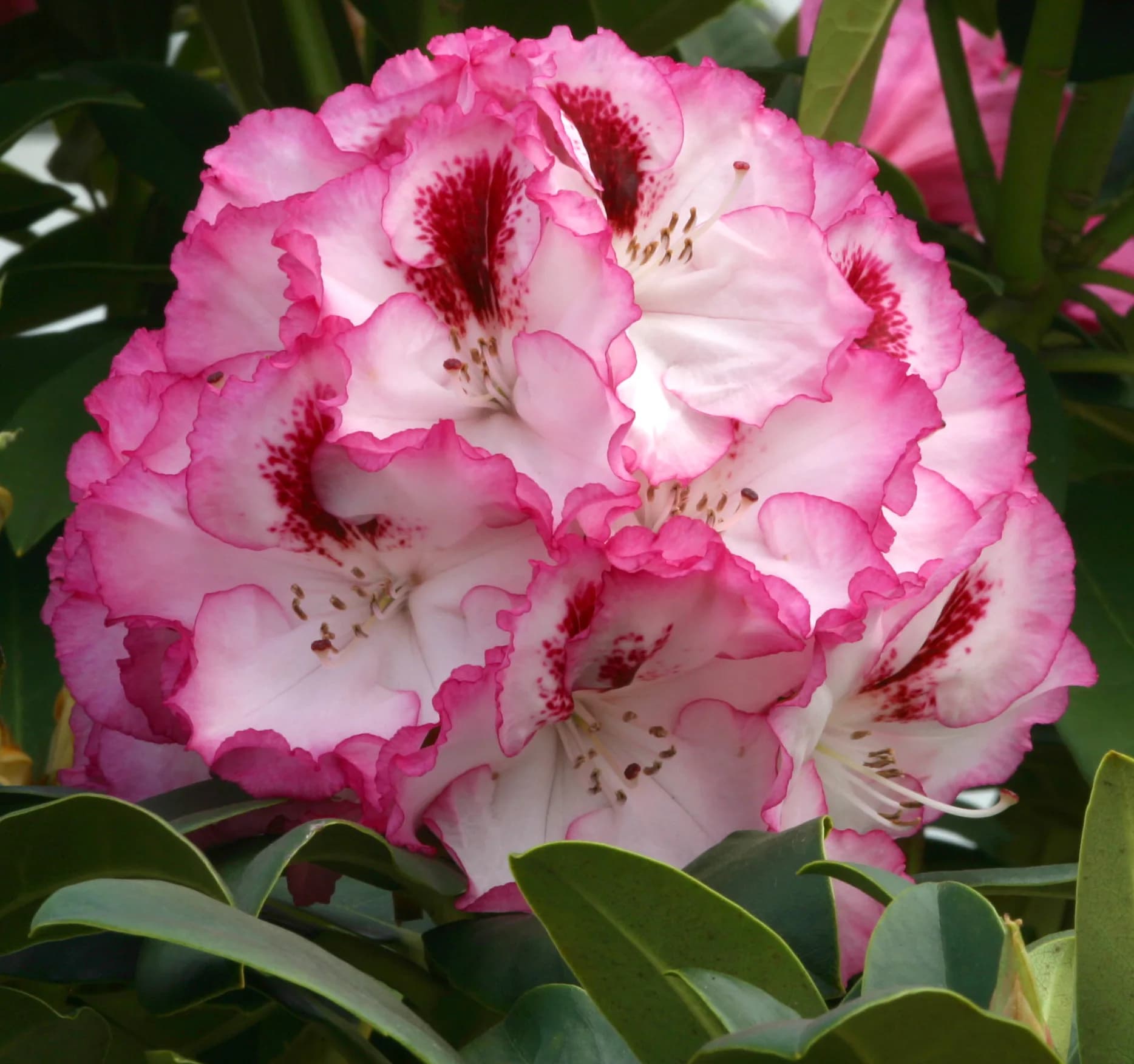 Фото 4
