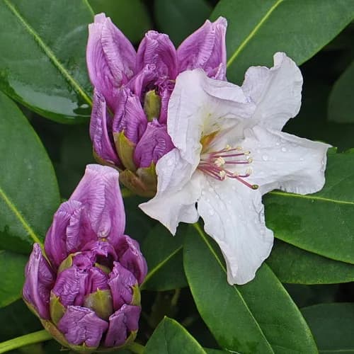 Фото 3