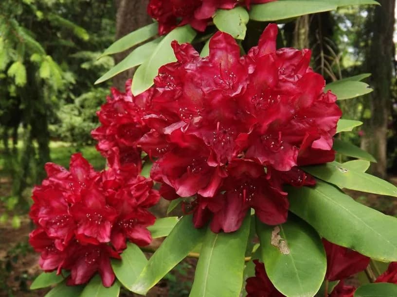 Фото 2