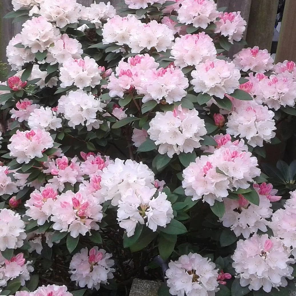 Фото 4