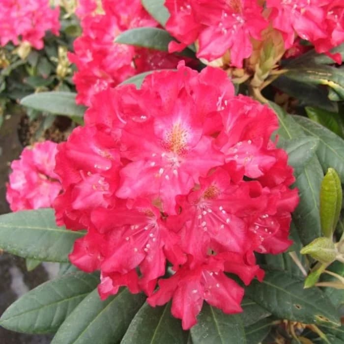 Фото 2