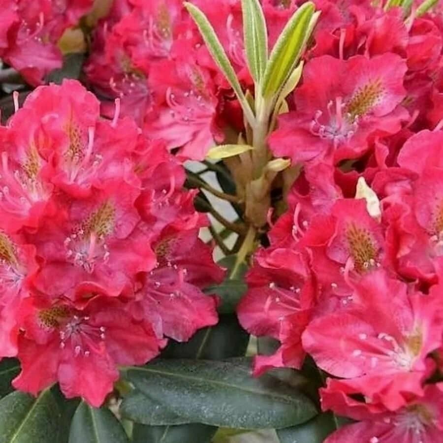 Фото 3