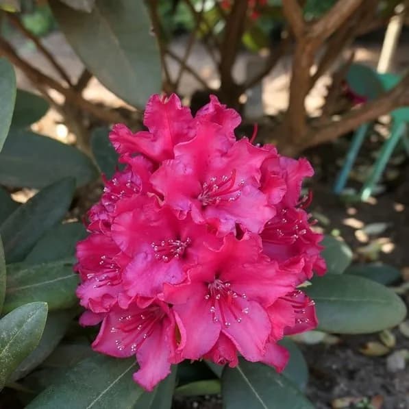Фото 3