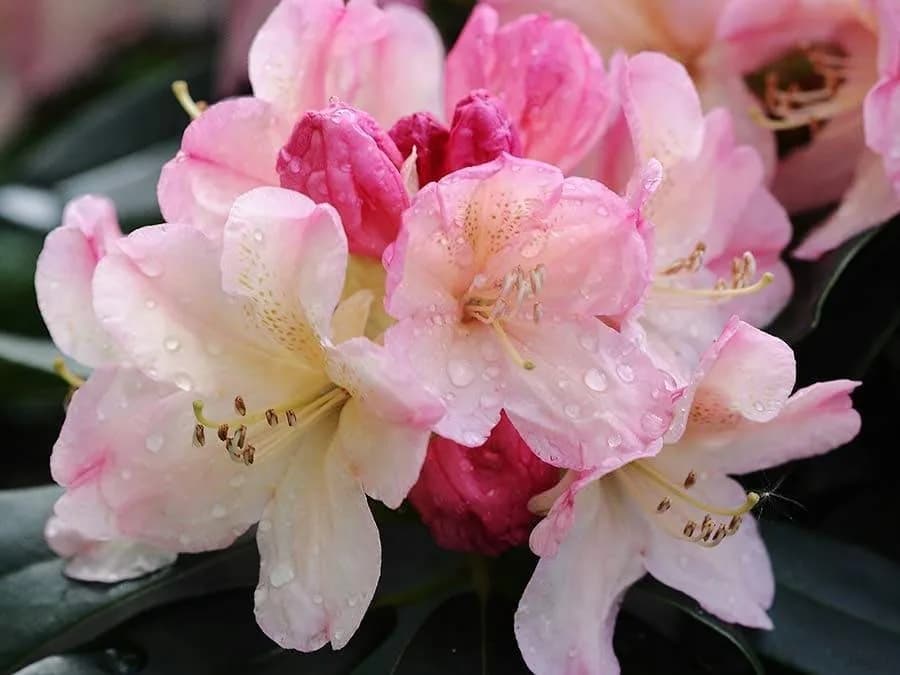Фото 2