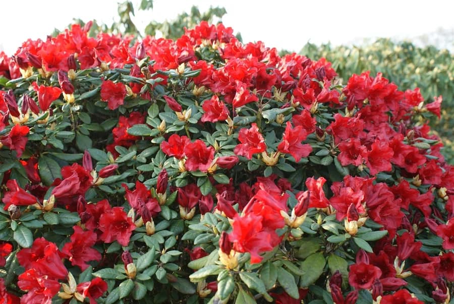 Фото 2