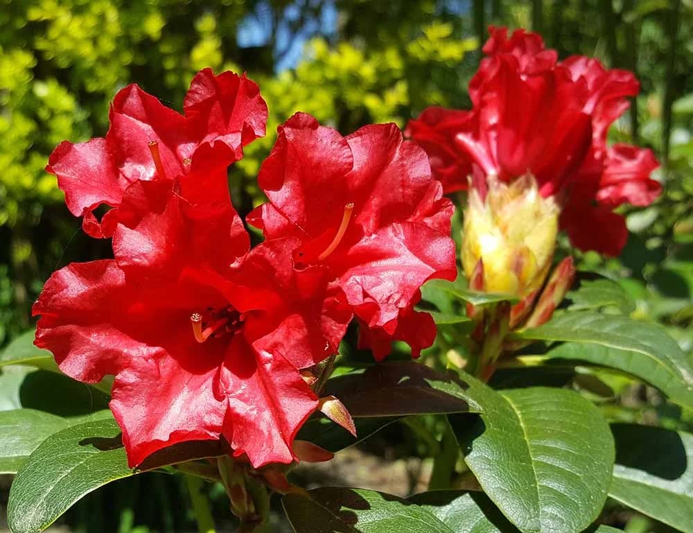 Фото 3