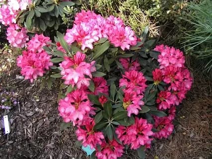 Фото 3