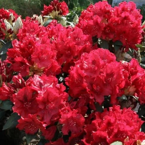 Фото 2