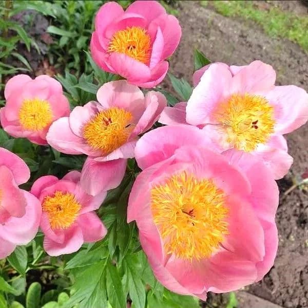 Фото 2
