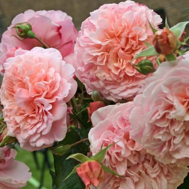 Фото 2
