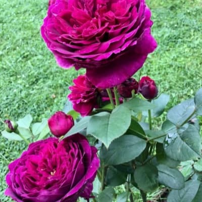 Фото 2