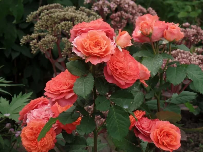 Фото 2