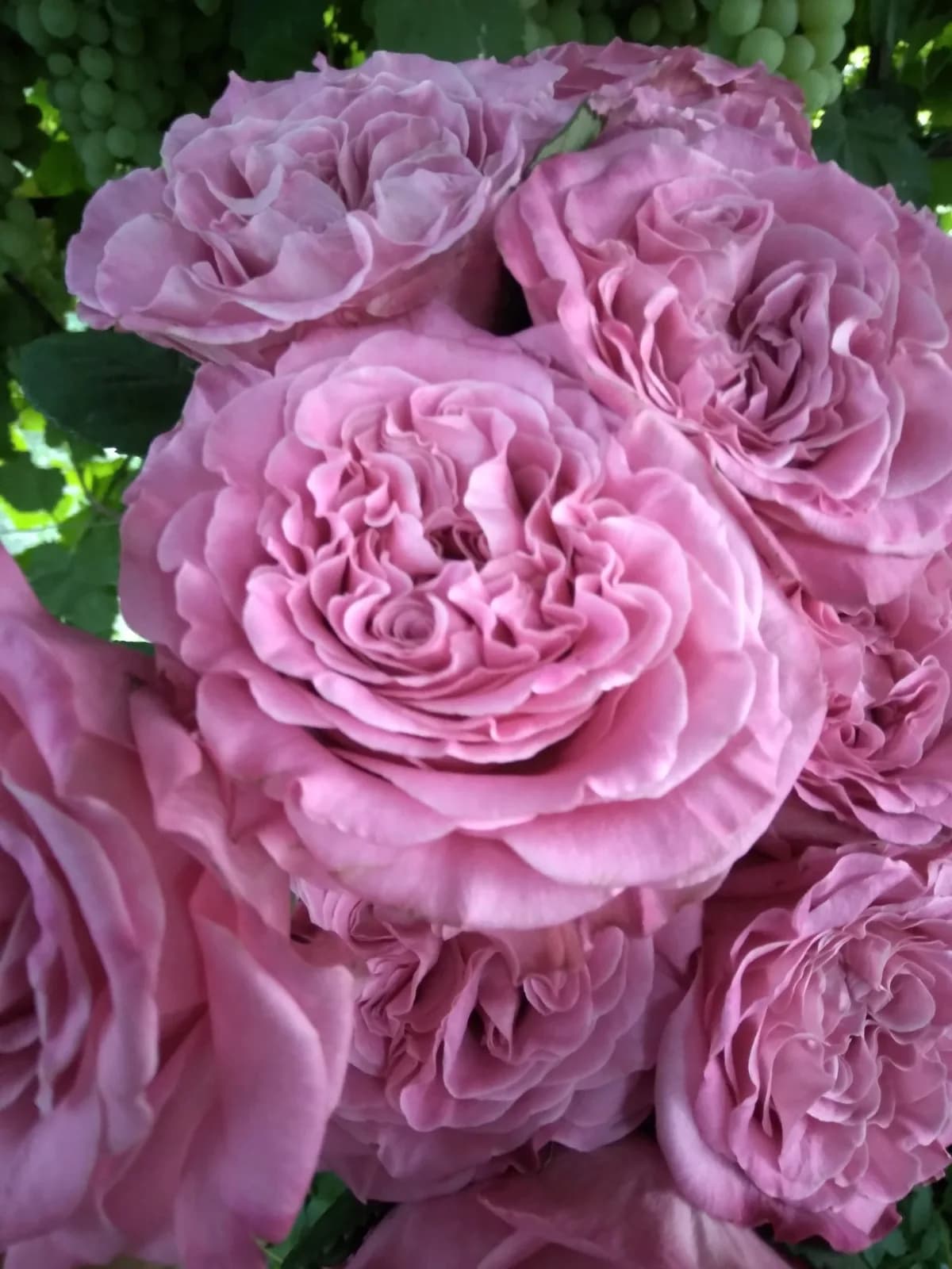 Фото 2