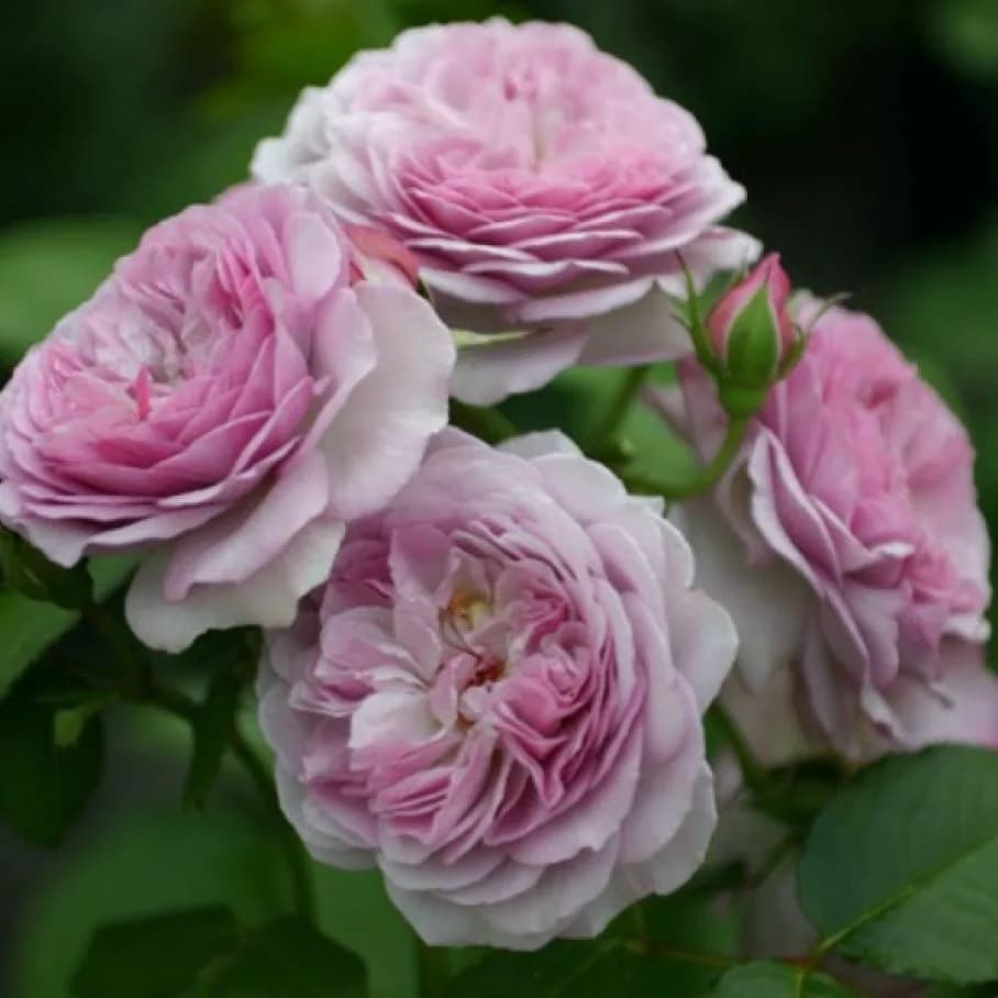 Фото 2