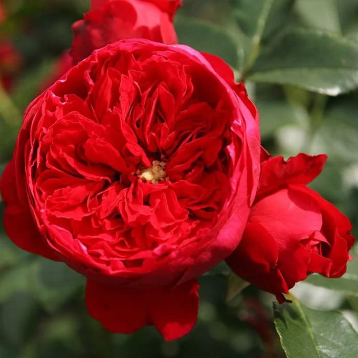 Фото 2