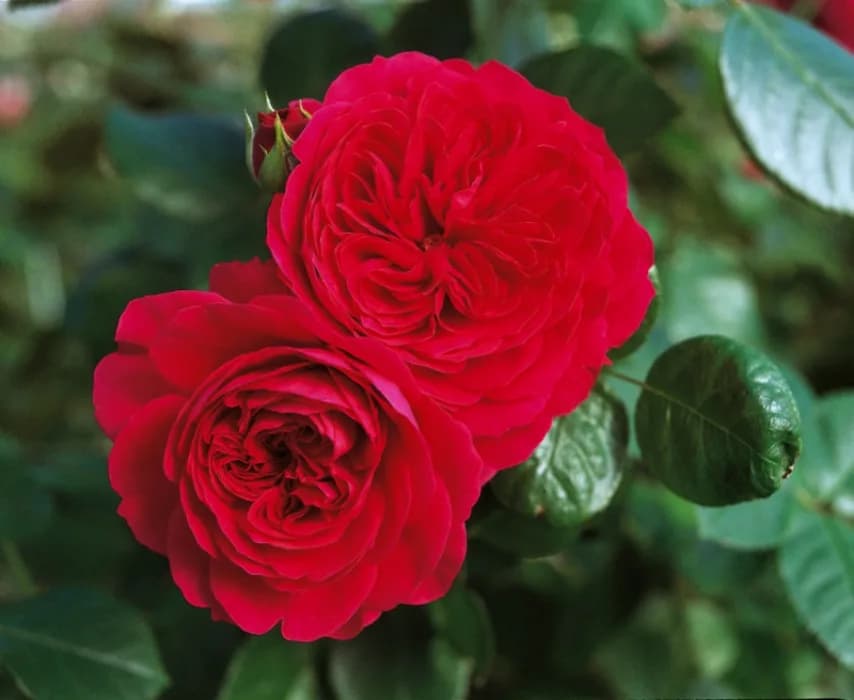 Фото 2