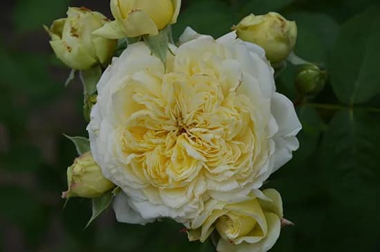 Фото 3