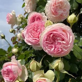 Фото 2