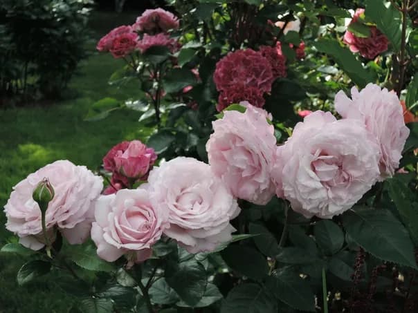 Фото 3
